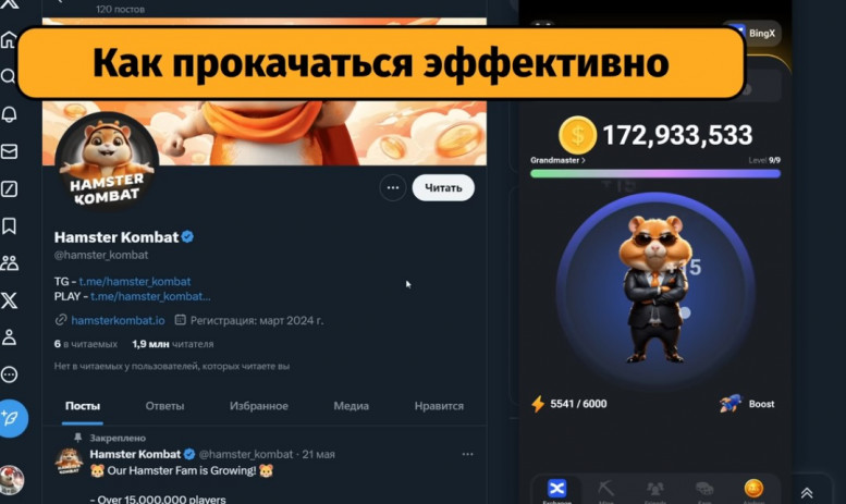 Игра хомяки телеграм - комбо карты, как играть, майнинг